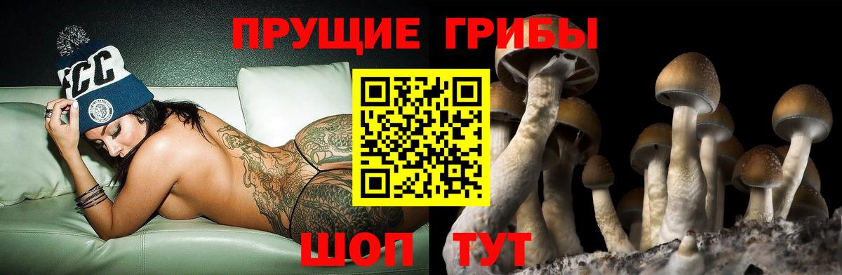 Россия  Галлюциногенные грибы Psilocybe  Вход с VPN  Галлюциногенные грибы Psilocybine cubensis 